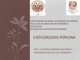 Cisticercosis porcina - Facultad de Medicina Veterinaria y