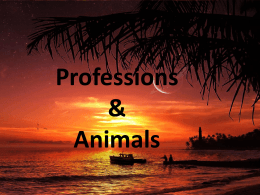 Professions & Animals