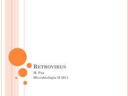 Retrovirus - Microinmunoumg's Blog | Just another