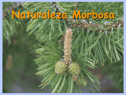 AG2- Naturaleza morbosa