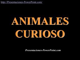 Animales Curiosos