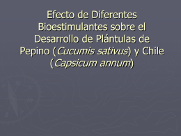 Efecto de Diferentes Bioestimulantes sobre el Desarrollo