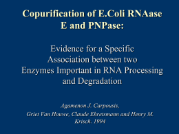 Copurification of E.Coli RNAase E and PNPase: Evidence for