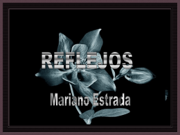 Mar_reflejos