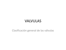 VALVULAS PILOTADAS - neumaticahidraulica