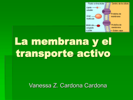 La membrana y el transporte activo