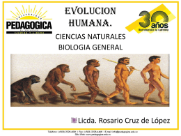 EVOLUCION HUMANA.