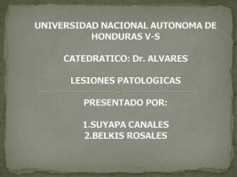 Diapositiva 1 - | Dr. Alejandro Alvarez