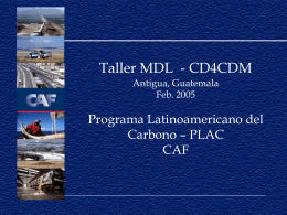 Programa Latinoamericano del Carbono