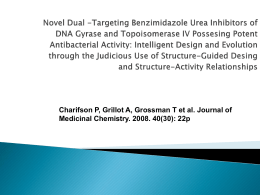 Novel Dual -Targeting Benzimidazole Urea Inhibitors of …