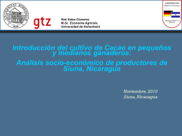 Introducing cacao to cattle producers: A socio