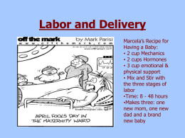 Labor and Delivery - Viscodes and sks99