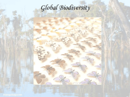 Global Biodiversity Patterns and Processes