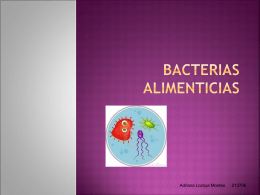 Bacterias Alimenticias