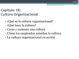 18 Cultura Organizacional