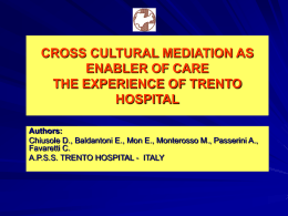 CROSS CULTURAL MEDIATION AS ENABLER OF CARE THE …