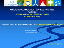 CDM in Nicaragua