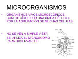 MICROORGANISMO - Belgrano
