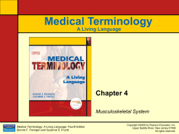Chapter 4: Musculoskeletal System