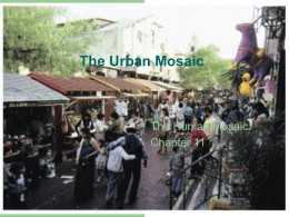 The Urban Mosaic - Home | The University of Texas at Austin