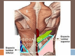 Hernias de la pered posterior