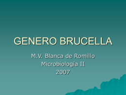 GENERO BRUCELLA - Avindustrias Guatemala