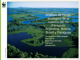 Analysis riesgo ecologico Cuenca Paraguay