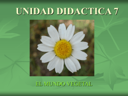 UNIDAD DIDACTICA 7 - Conodequinto's Blog | Just …