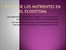 FLUJO DE LOS NUTRIENTES EN EL ECOSISTEMA