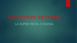 El maqui, la super fruta chilena