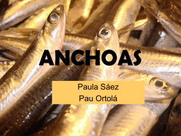 ANCHOAS - Home - Ana Albors Sorolla