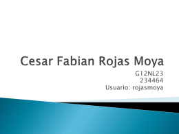 Cesar Fabian Rojas Moya