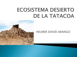 TATACOA DESERT ECOSYSTEM