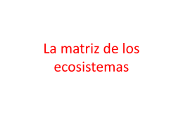 La matriz de los ecosistemas
