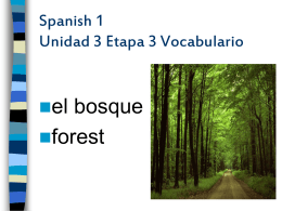Spanish 1 Unidad 3 Etapa 3 Vocabulario