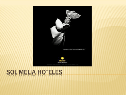 SOL MELIA HOTELES