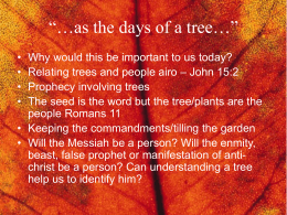 as the days of a tree…” - The WildBranch Ministry