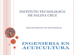 INSTITUTO TECNOLOGICO DE SALINA CRUZ