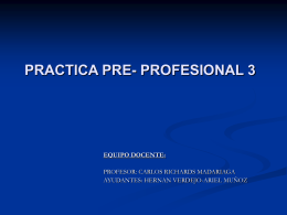 PRACTICA PRE- PROFESIONAL 3