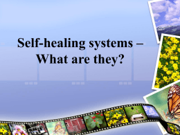 Self-healing systems – What are they?