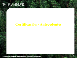 Certification Background