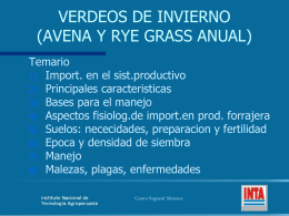 VERDEOS DE INVIERNO (AVENA Y RYE GRASS ANUAL)