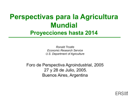 USDA 2001 Agricultural Baseline International Projection