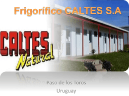 Frigorifico CALTES S.A