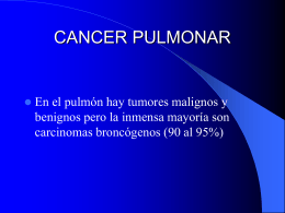 CANCER PULMONAR - Mamut: Business Software | …
