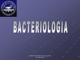 Bacterias – Reino Procariote