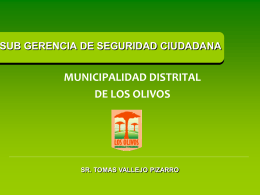 PROYECTO INTEGRAL MUNICPAL - Municipalidad Distrital …