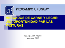 Diapositiva 1 - Procampo Uruguay