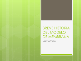 BREVE HISTORIA DEL MODELO DE MEMBRANA