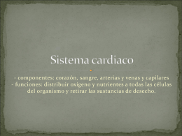 Sistema cardiaco
